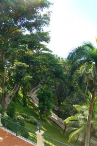 samana_13