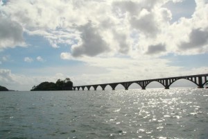 samana_162