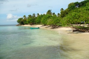 samana_163