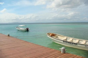 samana_164