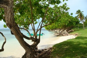 samana_166