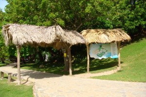 samana_168