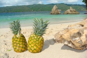 samana_173
