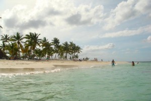 samana_174