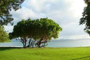 samana_183