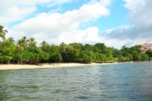 samana_22