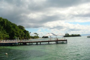 samana_24