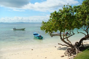 samana_27