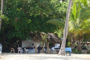 samana_29