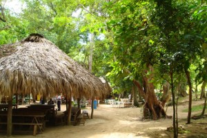 samana_41
