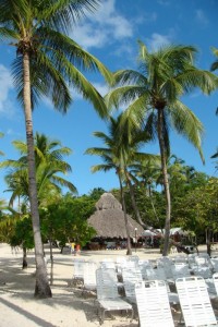 samana_46