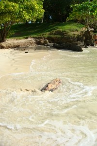 samana_51