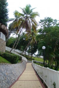 samana_66