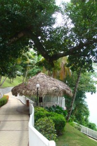 samana_68