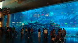 dubaj_41