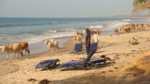gambia_1